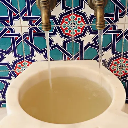 Orfeus Queen Hotel Colakli