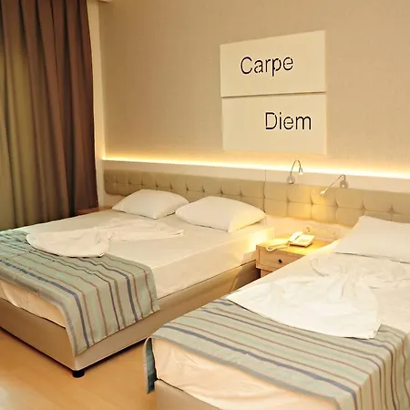 Orfeus Queen Colakli