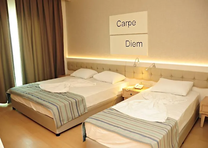 Orfeus Queen 코라클리